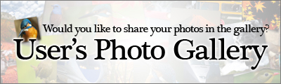 User's Photo Gallery