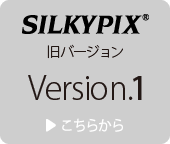 Developer Studio 1.0