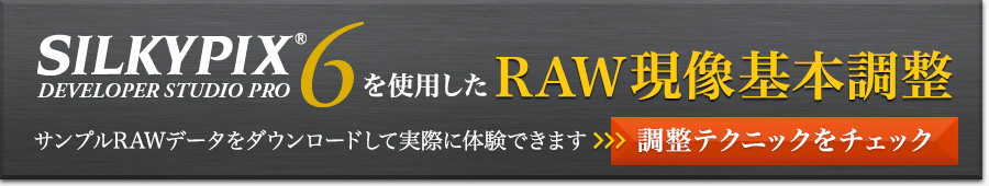 SILKYPIX Developer Studio Pro6を使用したRAW現像基本調整