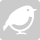 SILKYPIX&BORG特設サイト「野鳥写真掲示板」