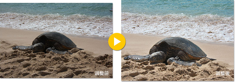 逆光の輝度差の大きなシーンで明暗部を引き出す